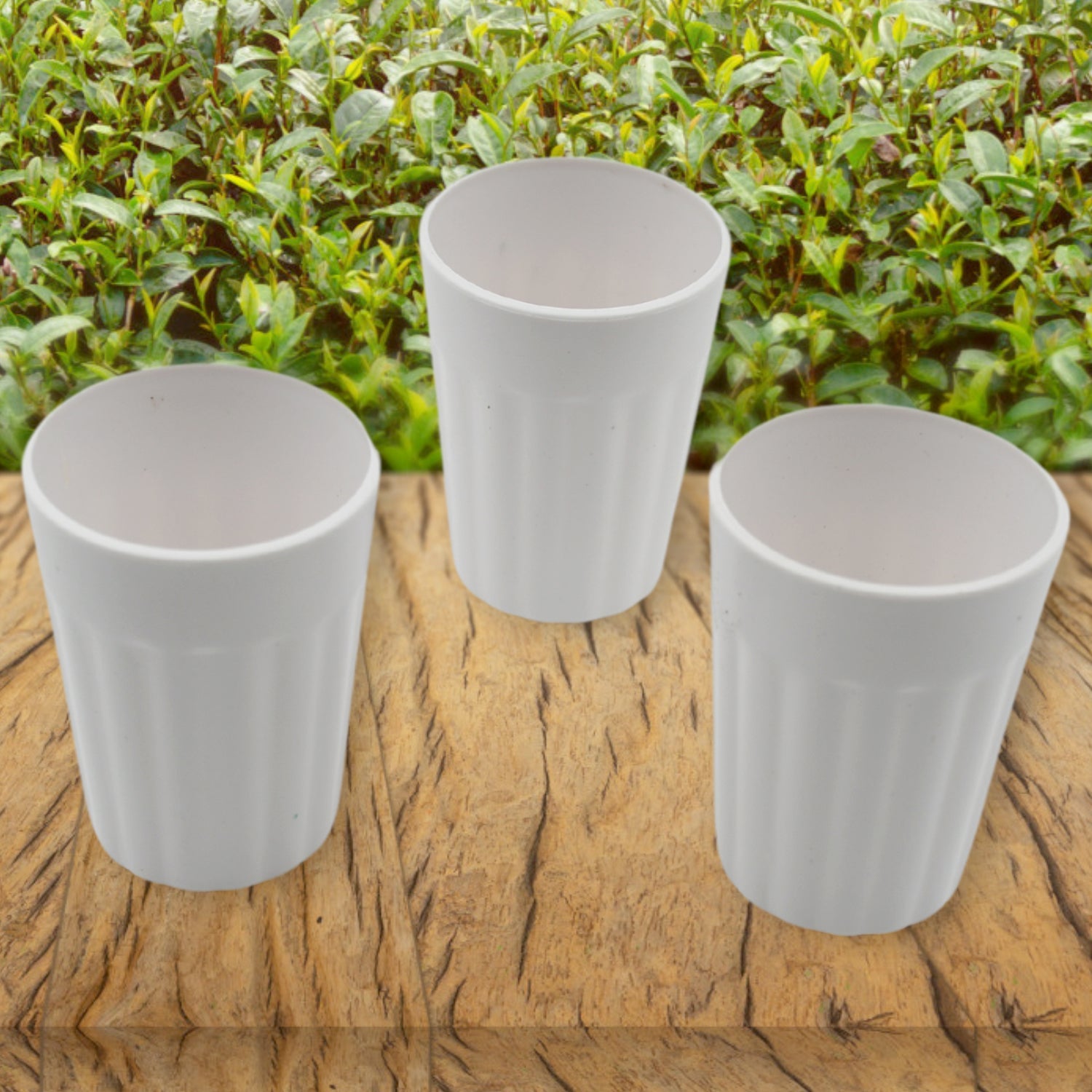 5719 Small Plastic Coffee / Tea Cups Reusable Plastic Cup Mug Lightweight Microwavable Dishwasher Safe Unbreakable Camping Coffee Mugs for Tea Milk Water Juice Tea (3 Pcs Set) 5719 Small Plastic Coffee / Tea Cups Reusable Plastic Cup Mug Lightweight Microwavable Dishwasher Safe Unbreakable Camping Coffee Mugs for Tea Milk Water Juice Tea (3 Pcs Set)
